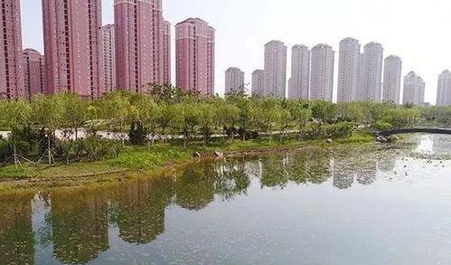 天津北辰区最新爆料,揭秘区域发展新动向与民生热点