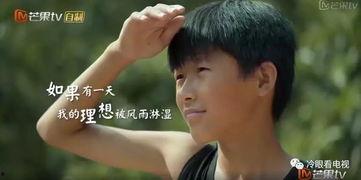 变形计十四季在线观看,青春蜕变之旅，在线观看见证成长瞬间